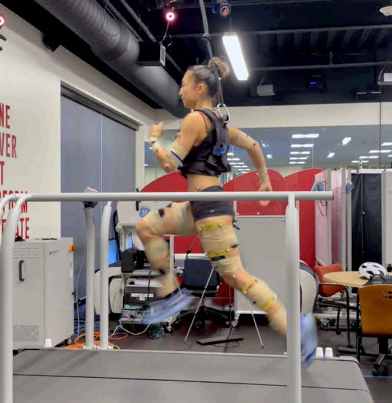 Sprinting and the Nordic hamstring exercise stress the hamstring in ...